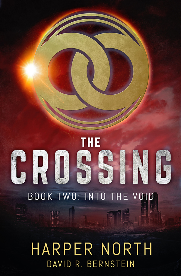 Book Cover: The Crossing: Into The Void